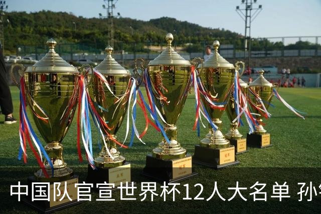 中国队官宣世界杯12人大名单 孙铭徽方硕落选