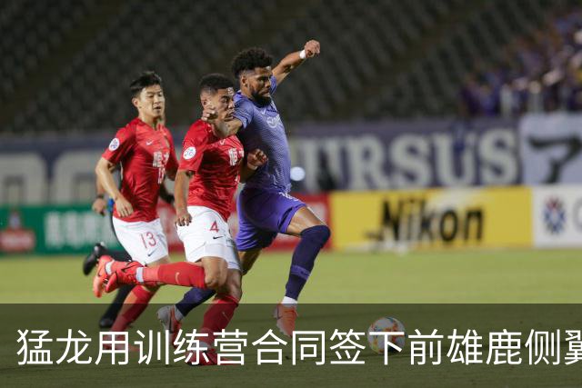 猛龙用训练营合同签下前雄鹿侧翼新星，他有机会争取到留队名额？